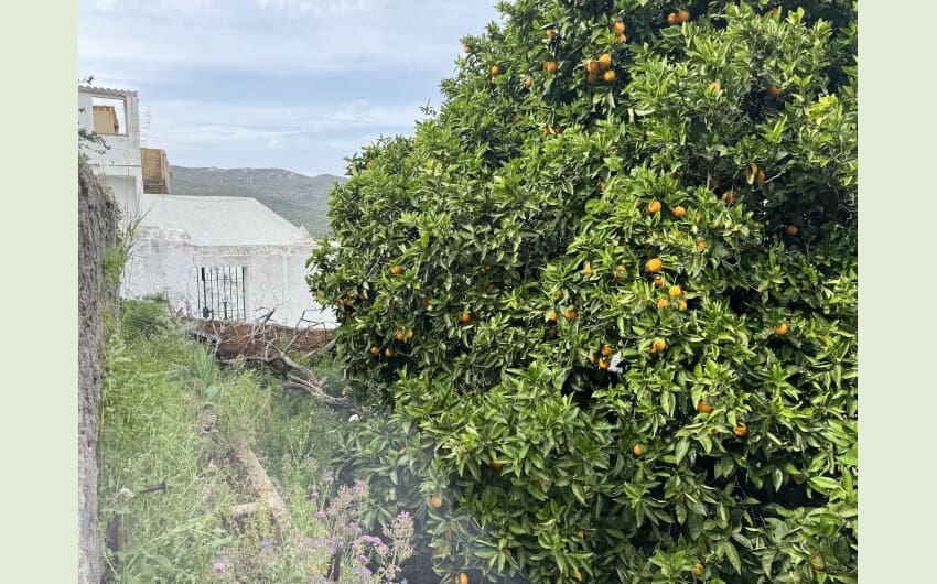 3 soverom Hus til salgs i Jimena de la Frontera med garasje - € 180 000 (Ref: 8370061)