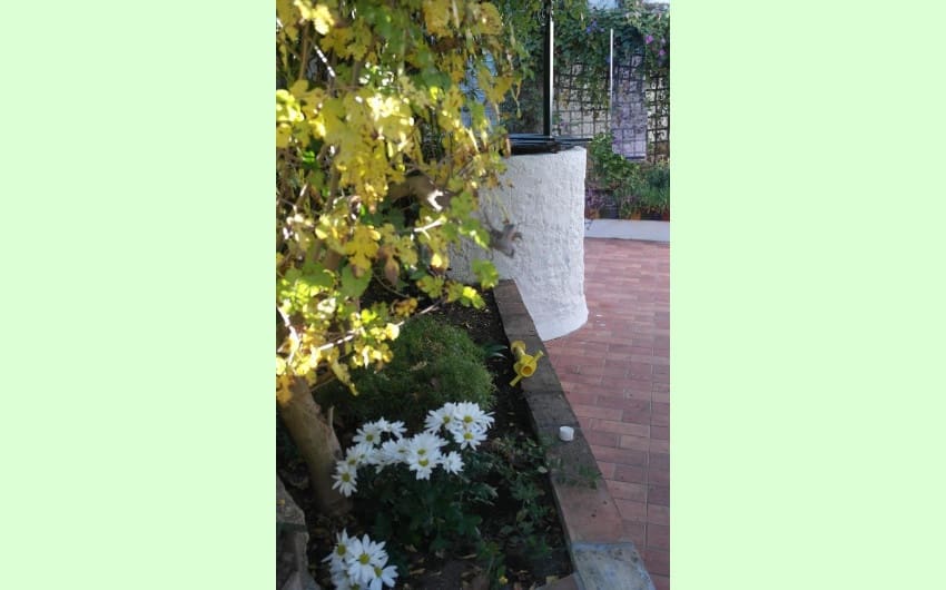 3 soveværelse Finca/Landehus til salg i Jimena de la Frontera med swimmingpool garage - € 350.000 (Ref: 8429168)