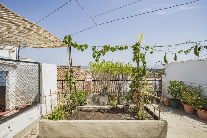 3 soveværelse Virksomhed til salg i Jimena de la Frontera - € 142.000 (Ref: 9192966)