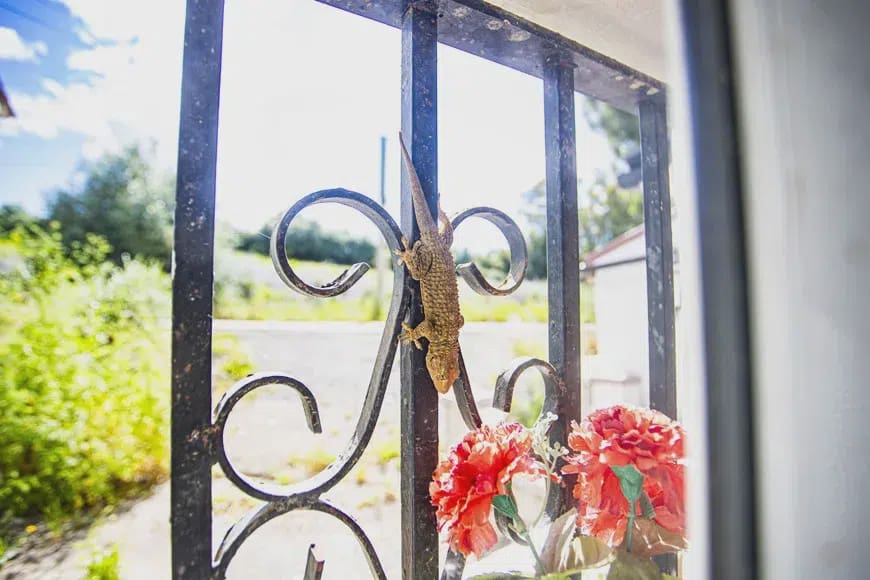 3 bedroom Finca/Country House for sale in San Pablo de Buceite - € 225,000 (Ref: 9192970)