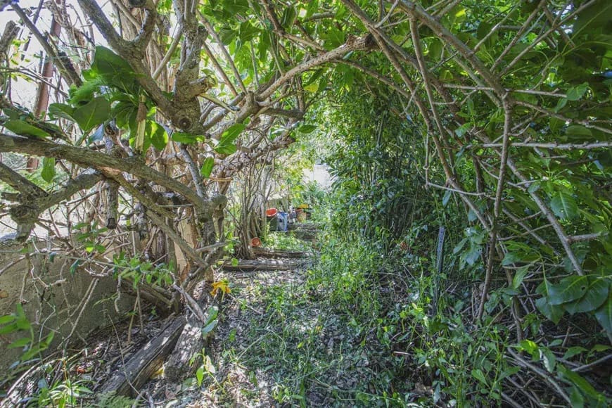 3 soverom Hus til salgs i Jimena de la Frontera - € 120 000 (Ref: 9192972)