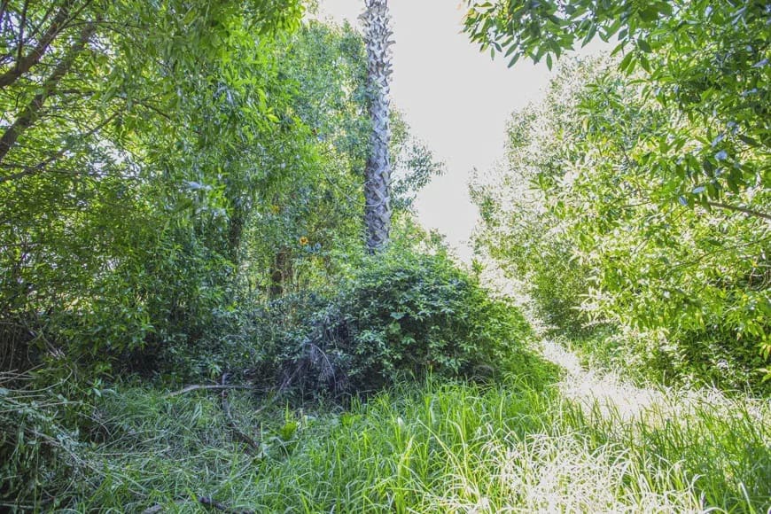 3 soverom Hus til salgs i Jimena de la Frontera - € 120 000 (Ref: 9192972)