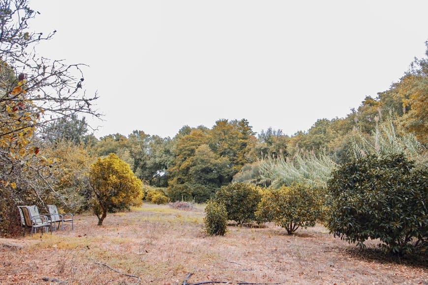 2 soveværelse Finca/Landehus til salg i San Roque - € 388.000 (Ref: 9263781)