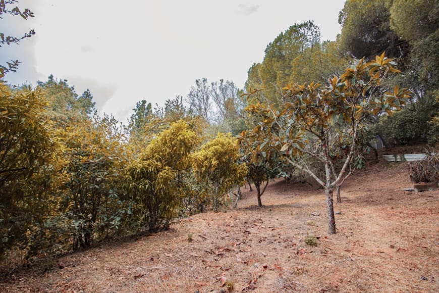 2 soveværelse Finca/Landehus til salg i San Roque - € 388.000 (Ref: 9263781)