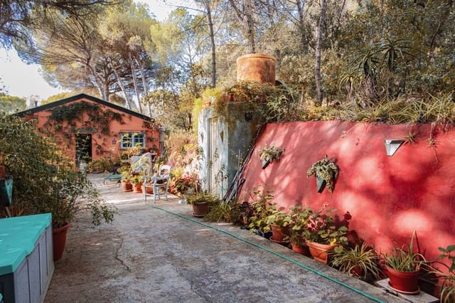 2 bedroom Finca/Country House for sale in San Roque Pueblo, San Roque - € 388,000 (Ref: 9263781)