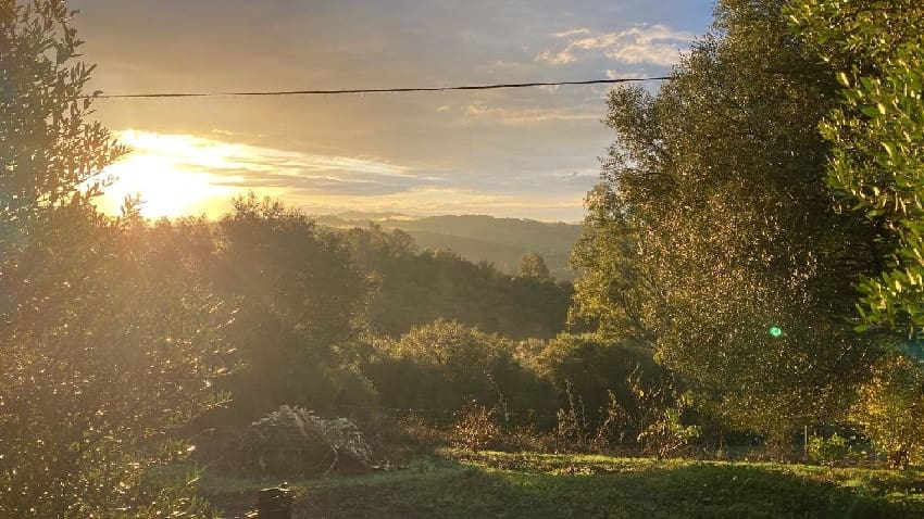 Bungalow de 3 habitaciones en Jimena de la Frontera en venta con piscina - 620.000 € (Ref: 9632764)