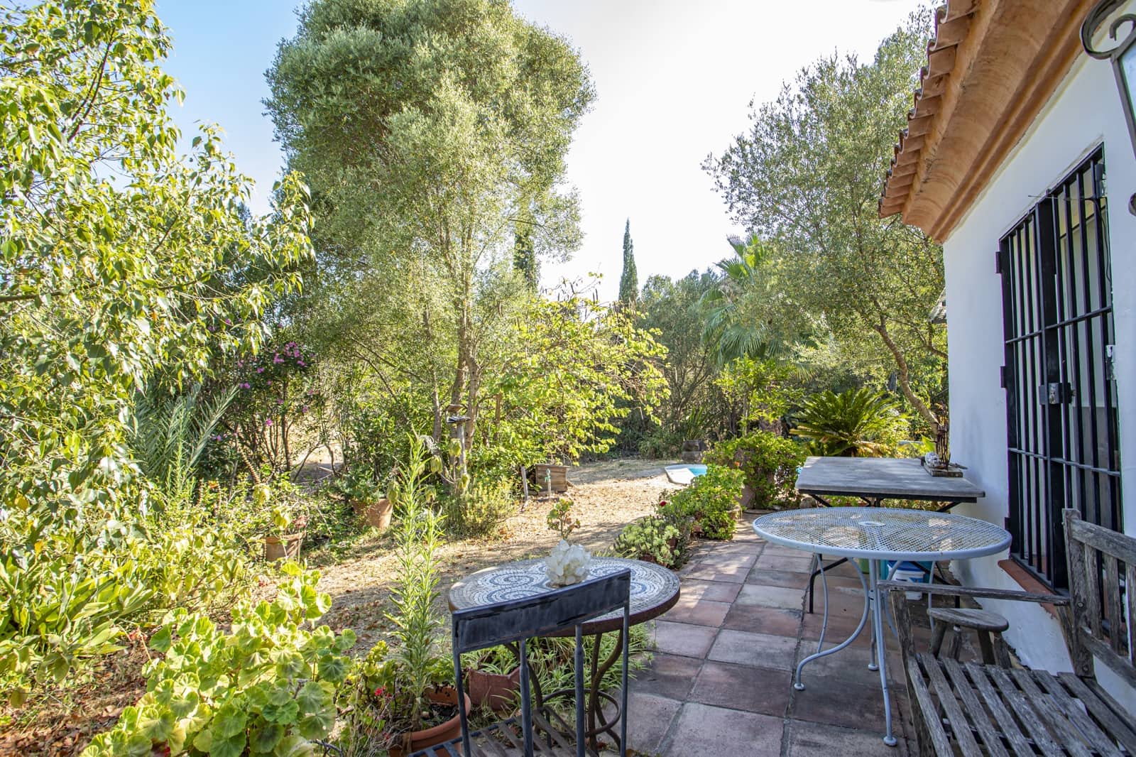 4 sypialnia Finka/Dom wiejski na sprzedaż w Jimena de la Frontera z basenem - 475 000 € (Ref: 9943272)