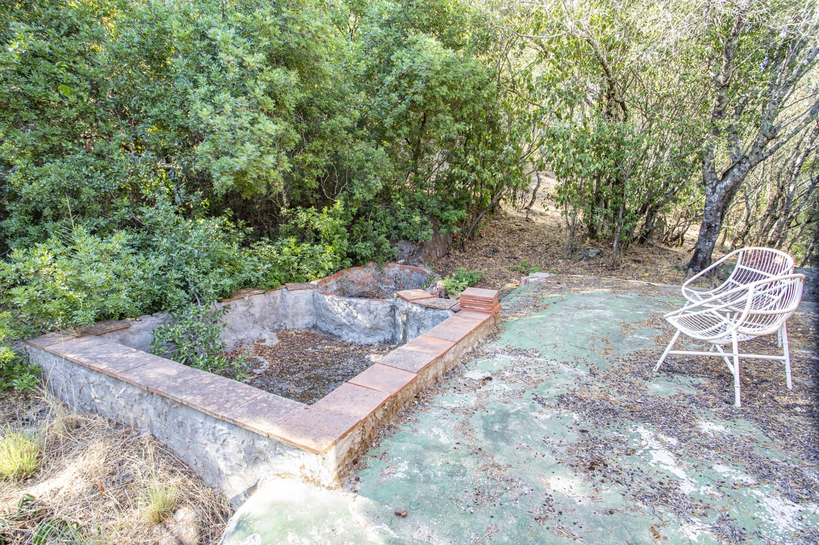 4 sypialnia Finka/Dom wiejski na sprzedaż w Jimena de la Frontera z basenem - 475 000 € (Ref: 9943272)