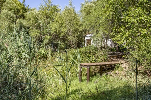 4 sypialnia Finka/Dom wiejski na sprzedaż w Jimena de la Frontera z basenem - 475 000 € (Ref: 9943272)