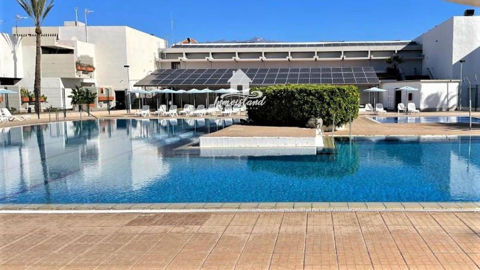 1 bedroom Flat for rent in Costa del Silencio with pool - € 1,120 (Ref: 10036017)