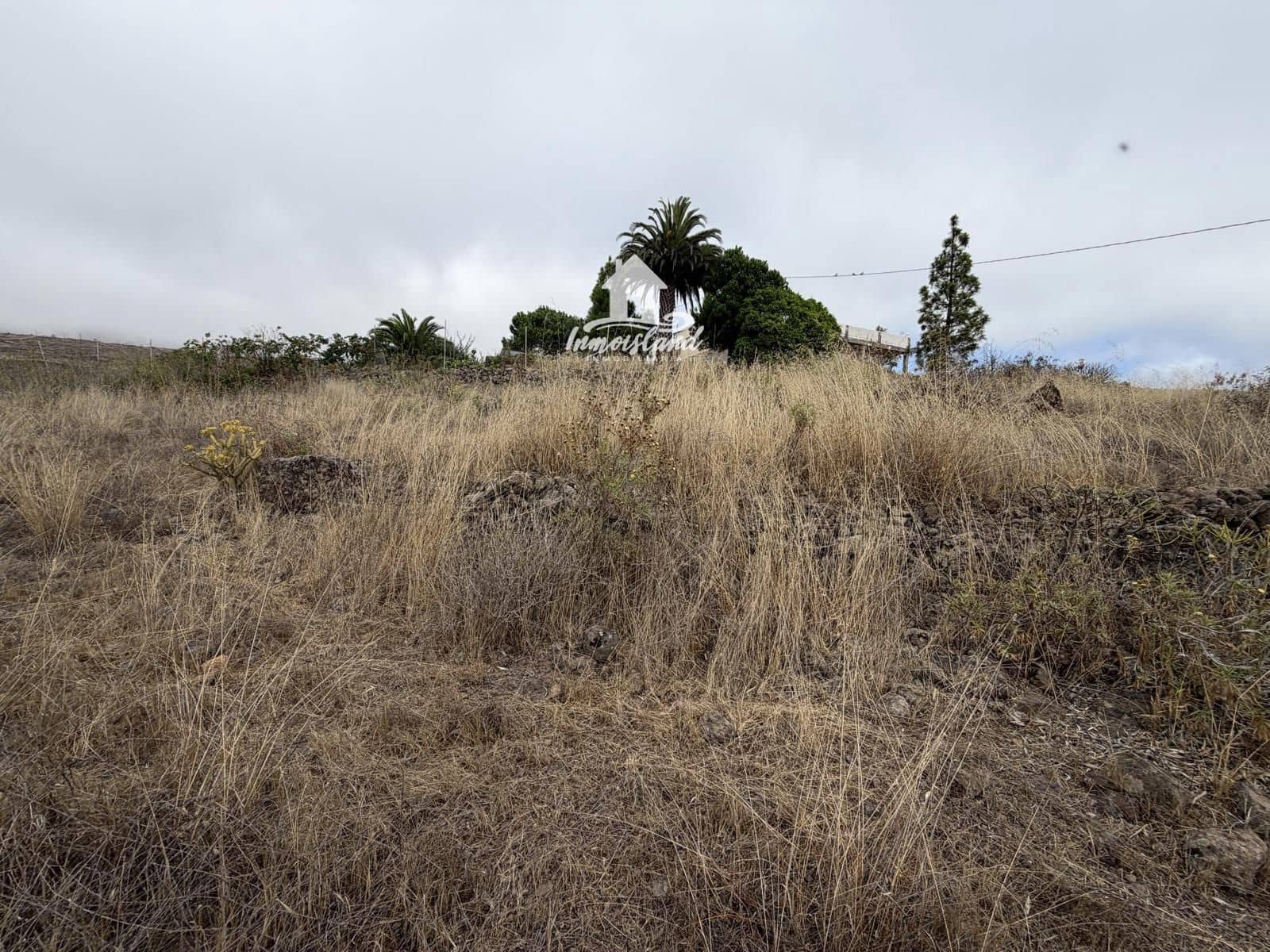 Building Plot for sale in Taucho - € 68,000 (Ref: 10076884)