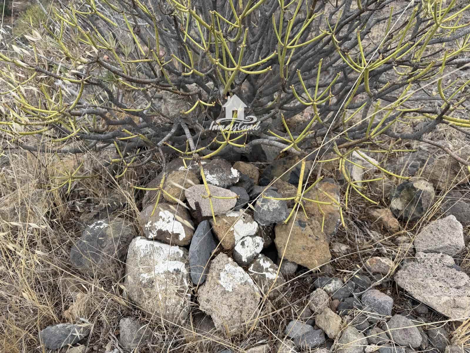 Building Plot for sale in Taucho - € 68,000 (Ref: 10076884)