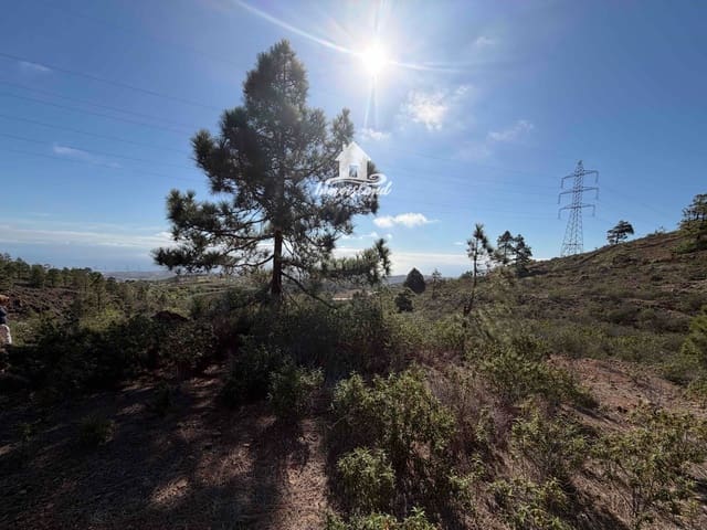 Terreno para Construção para venda em Arico El Nuevo, Arico - 58 000 € (Ref: 8700114)