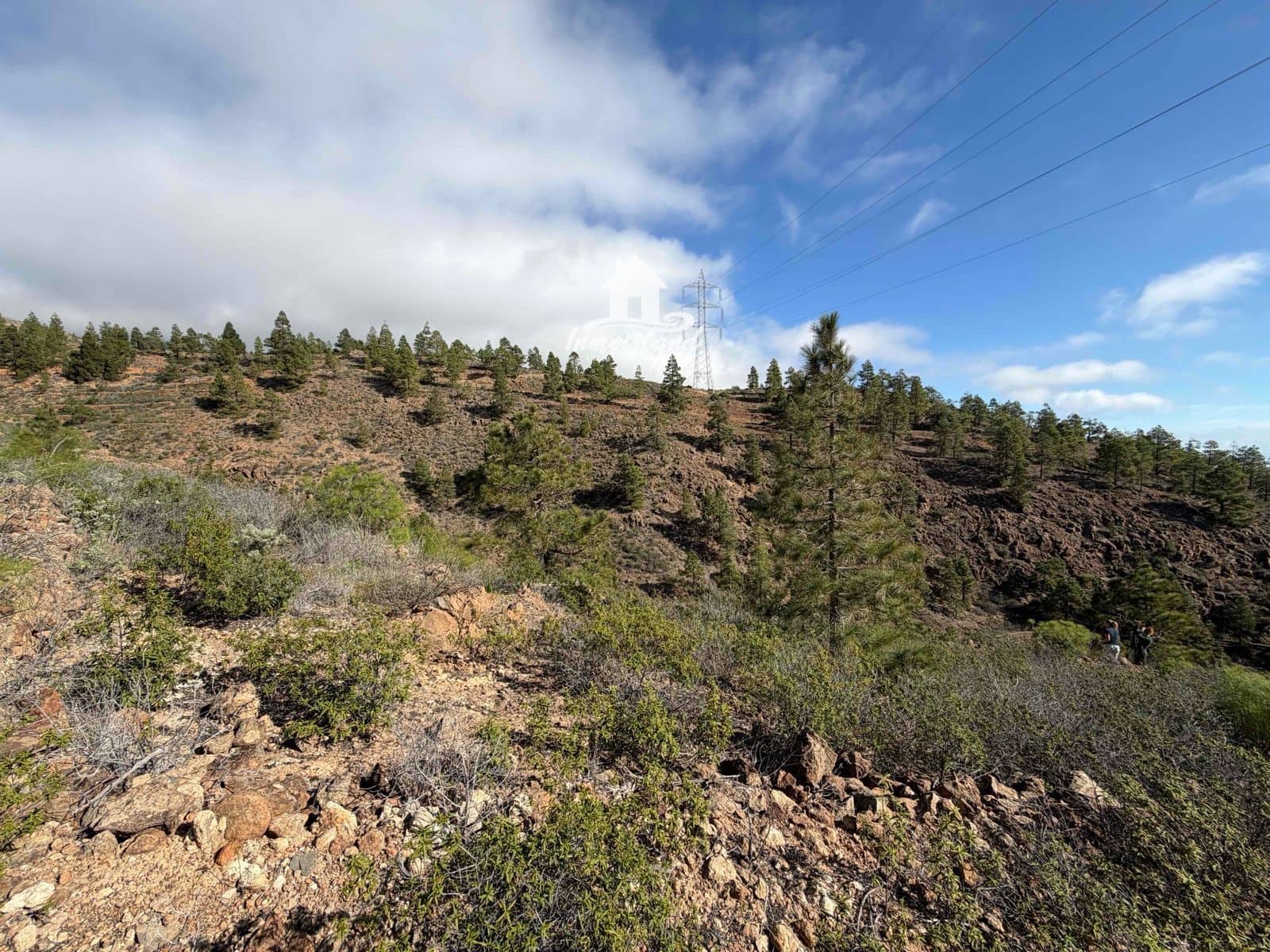 Terreno para Construção para venda em Arico - 58 000 € (Ref: 8700114)