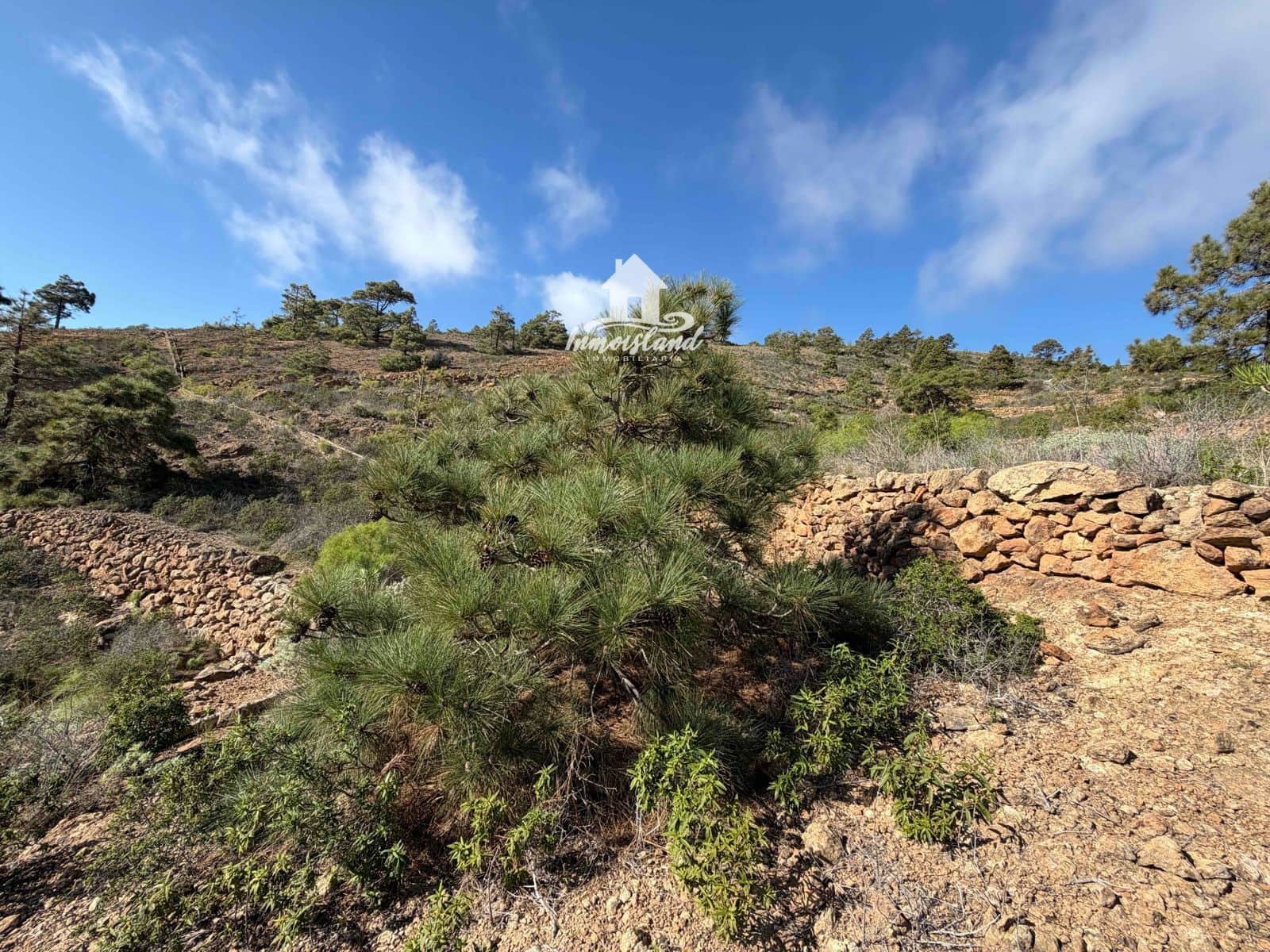 Terreno para Construção para venda em Arico - 58 000 € (Ref: 8700114)