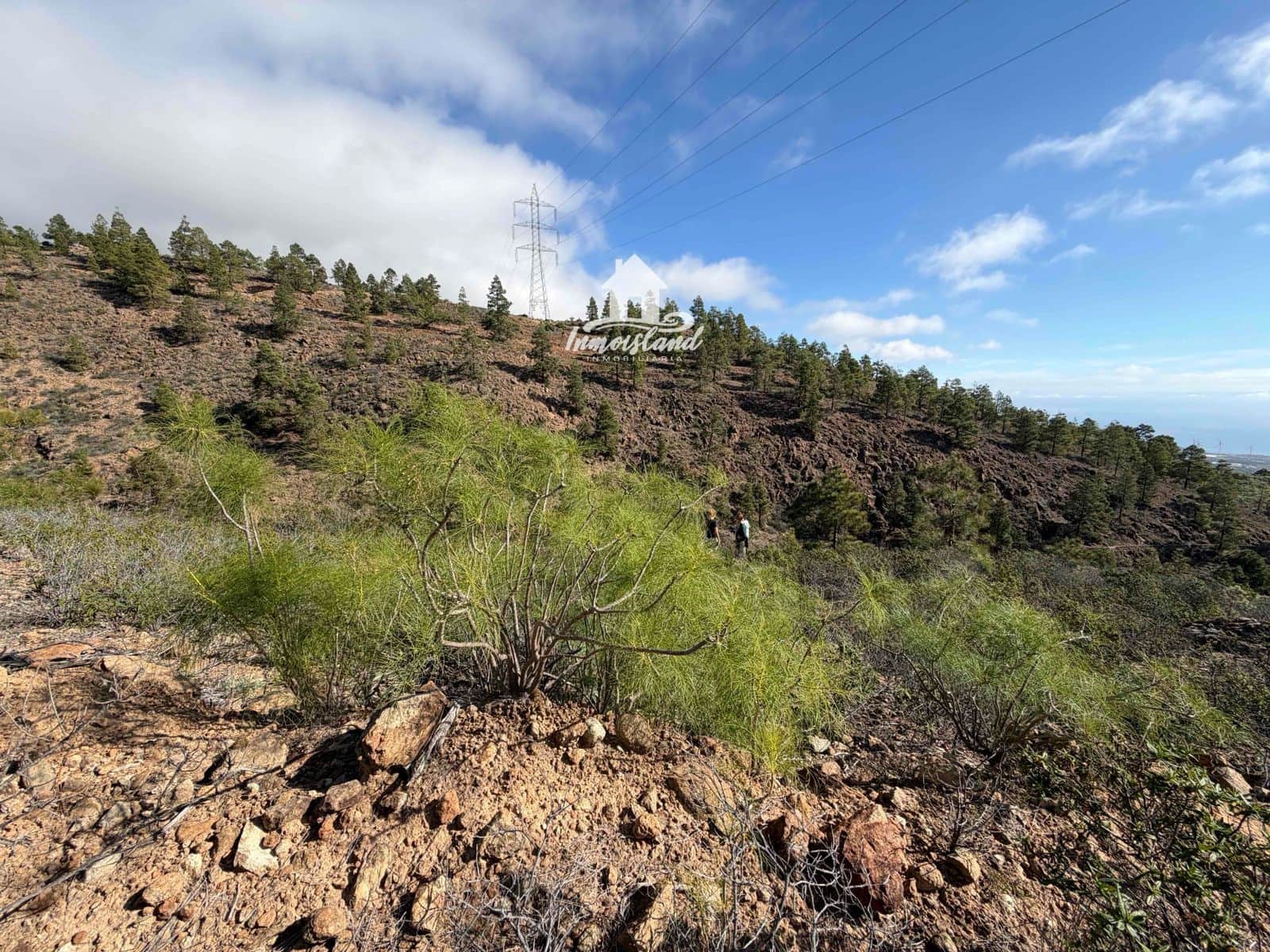 Terreno para Construção para venda em Arico - 58 000 € (Ref: 8700114)