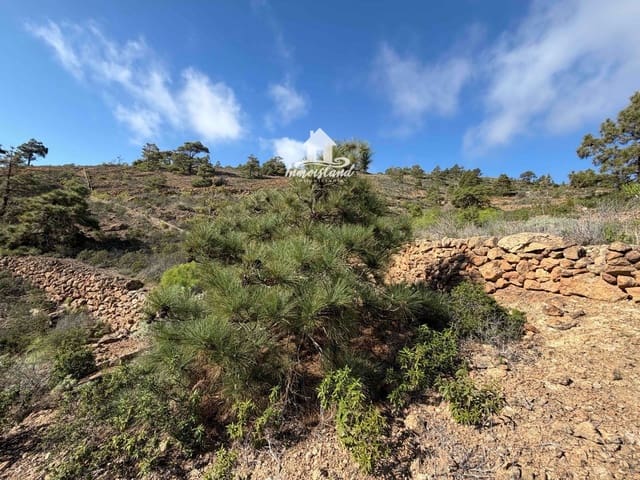 Terreno para Construção para venda em Arico El Nuevo, Arico - 58 000 € (Ref: 8700114)