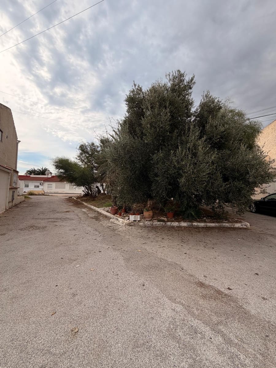 Bungalow de 2 habitaciones en Torrevieja en venta - 119.000 € (Ref: 10185422)