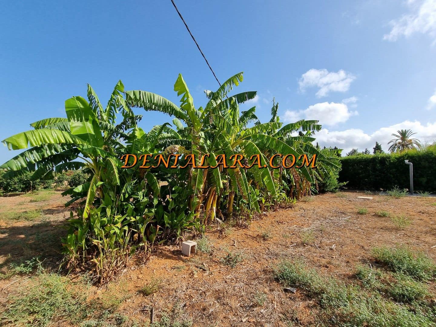 4 bedroom Finca/Country House for sale in Pedreguer - € 290,000 (Ref: 10057678)
