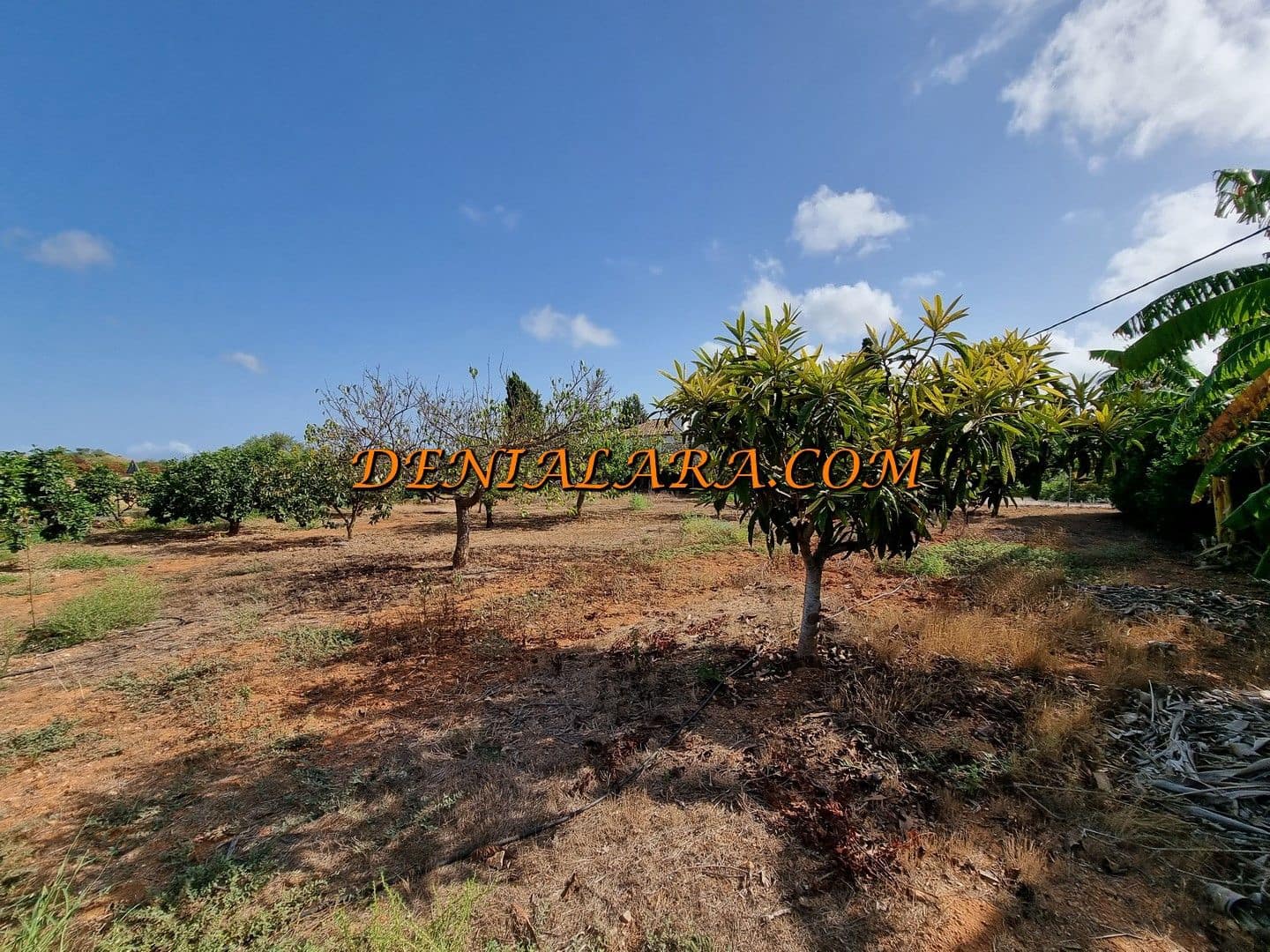4 bedroom Finca/Country House for sale in Pedreguer - € 290,000 (Ref: 10057678)