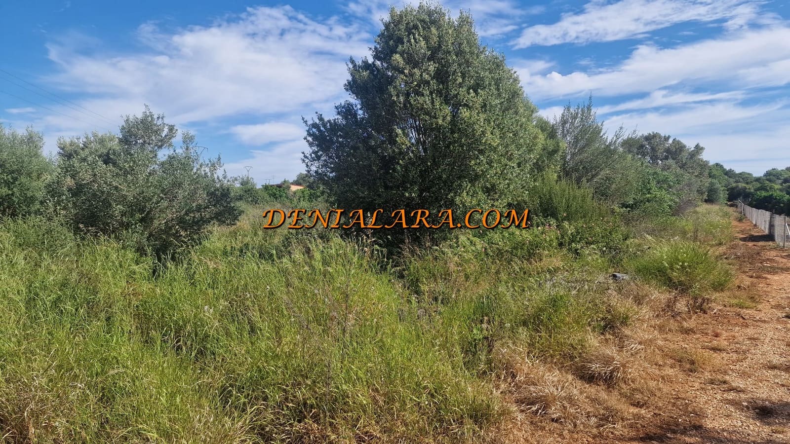 Byggegrund til salg i La Xara - € 94.999 (Ref: 7578867)