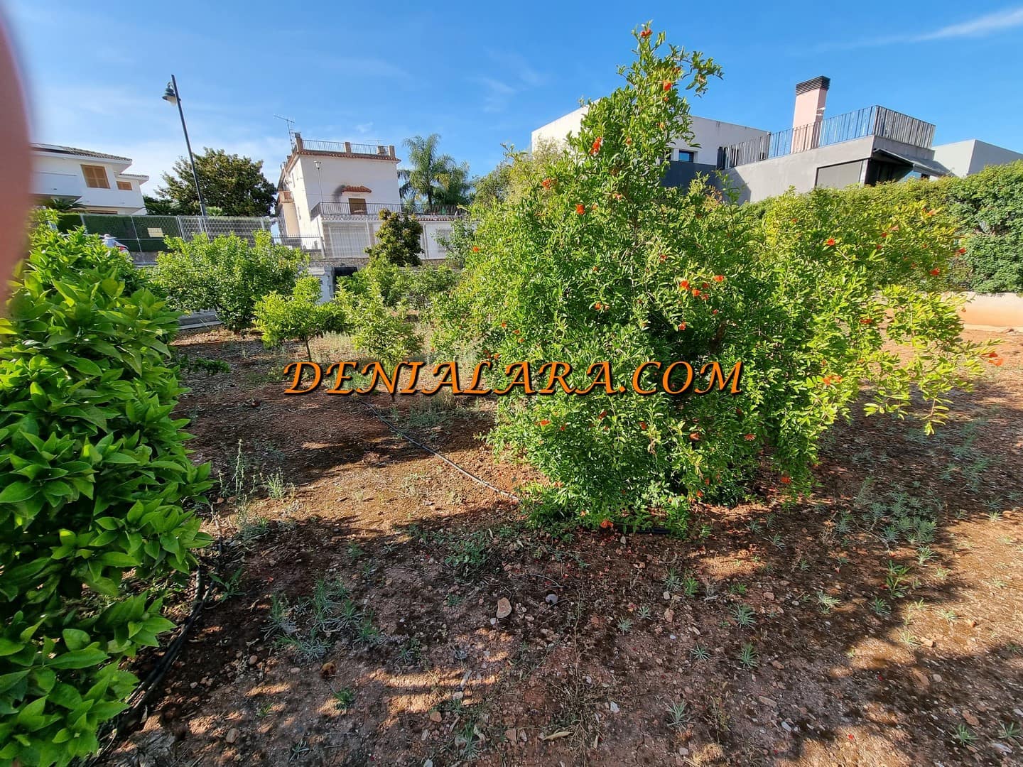 Byggetomt til salgs i Pego - € 150 000 (Ref: 7578874)