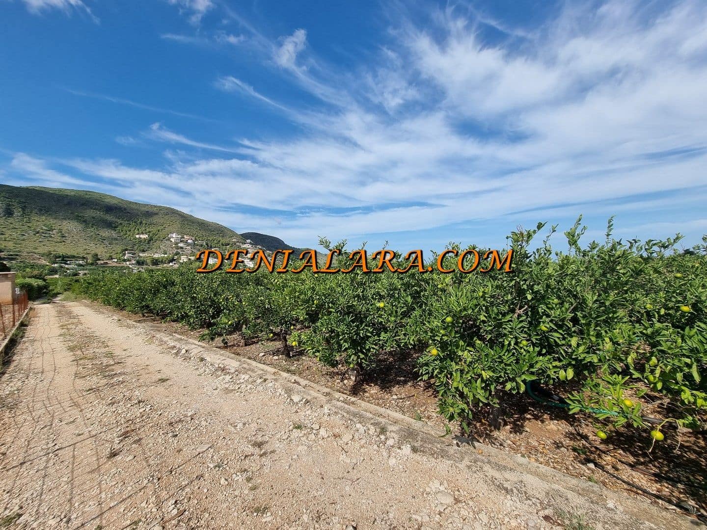 Bouwgrond te koop in Pego - € 40.000 (Ref: 7778591)