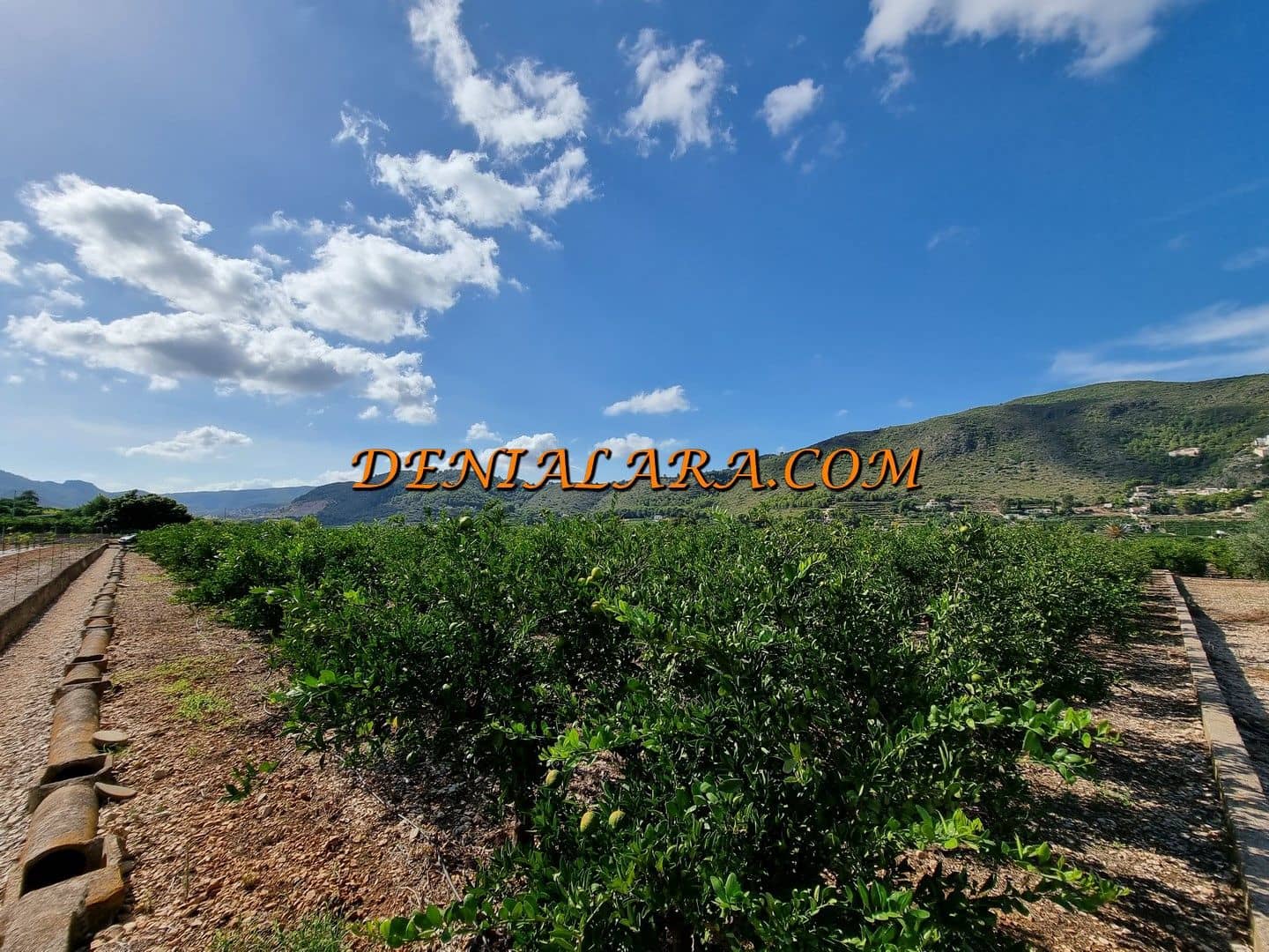 Bouwgrond te koop in Pego - € 40.000 (Ref: 7778591)