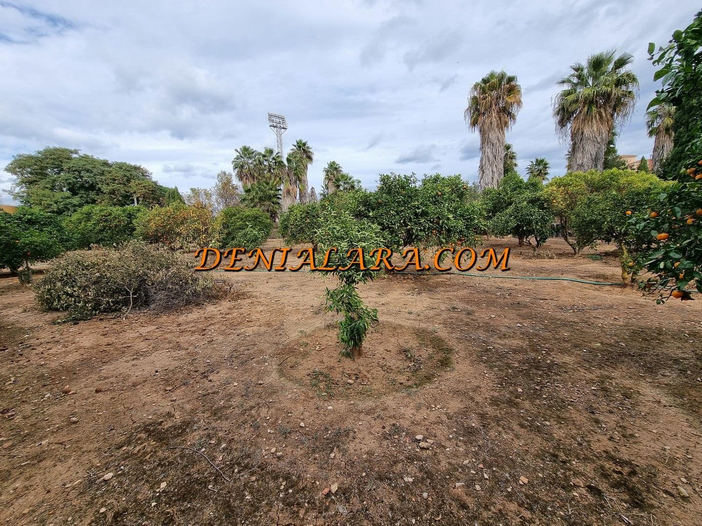 Building Plot for sale in Denia - € 840,000 (Ref: 8212226)