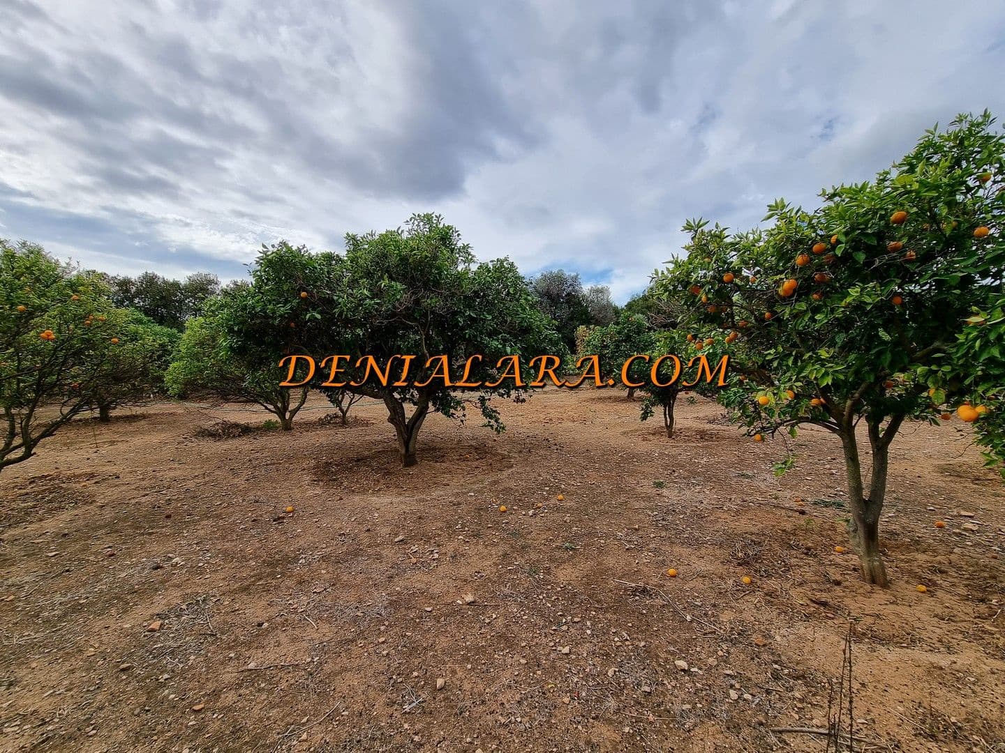 Building Plot for sale in Denia - € 840,000 (Ref: 8212226)
