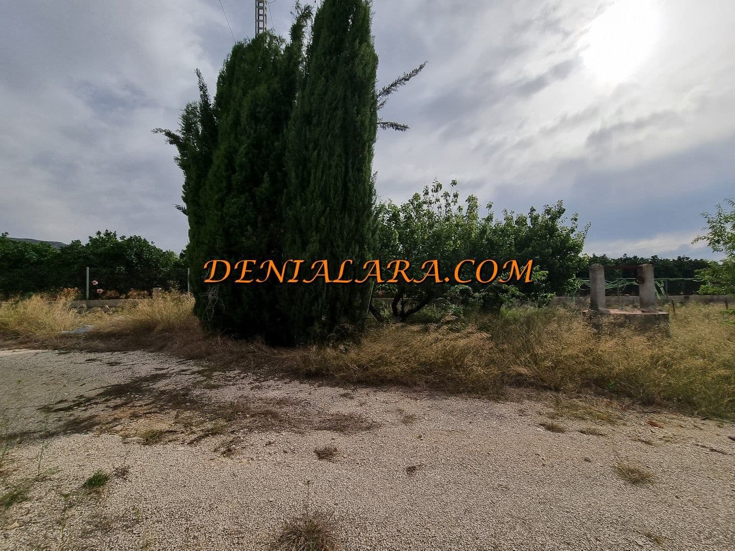 Bouwgrond te huur in Pedreguer - € 800 (Ref: 8389502)