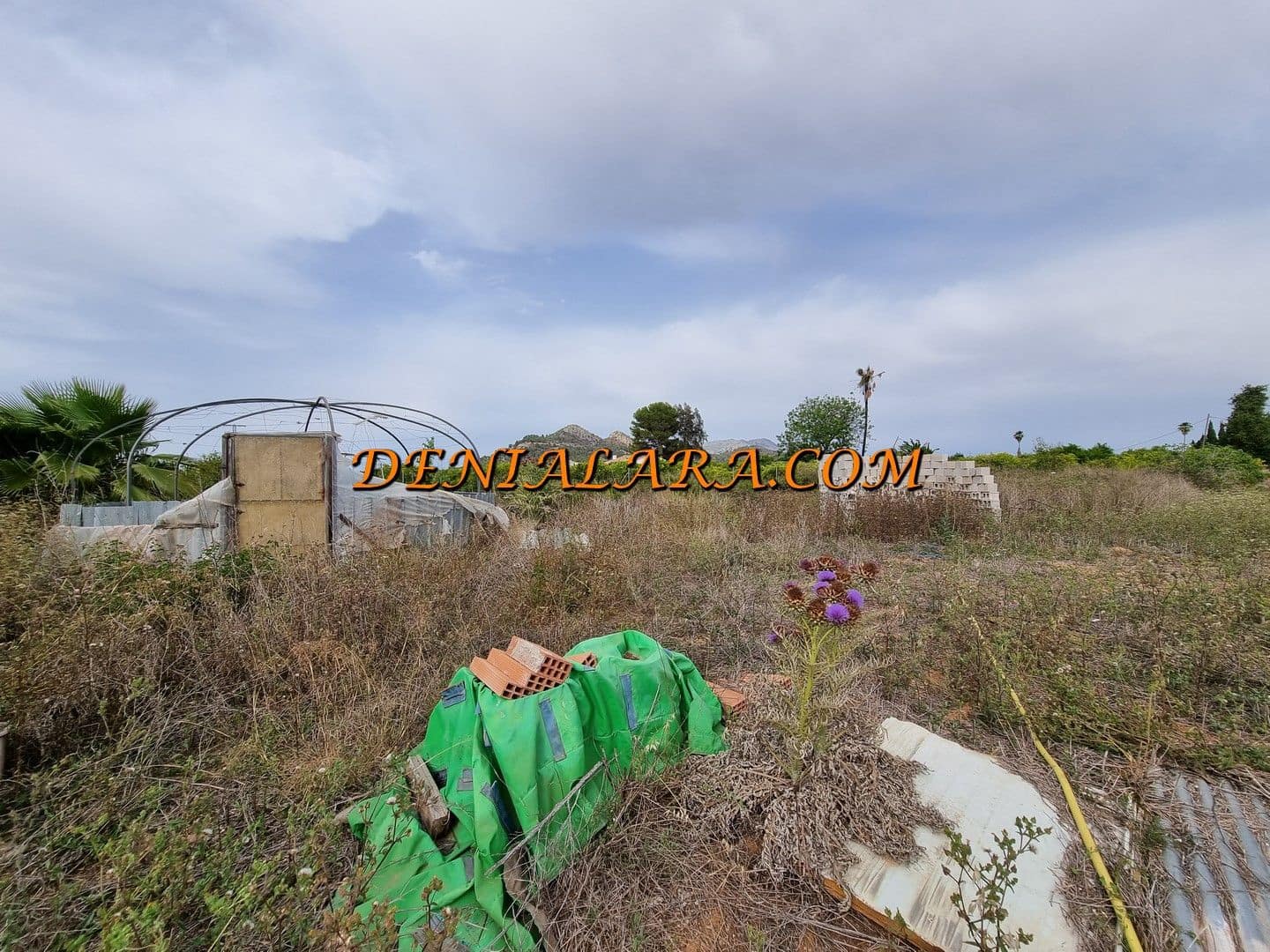 Bouwgrond te huur in Pedreguer - € 800 (Ref: 8389502)