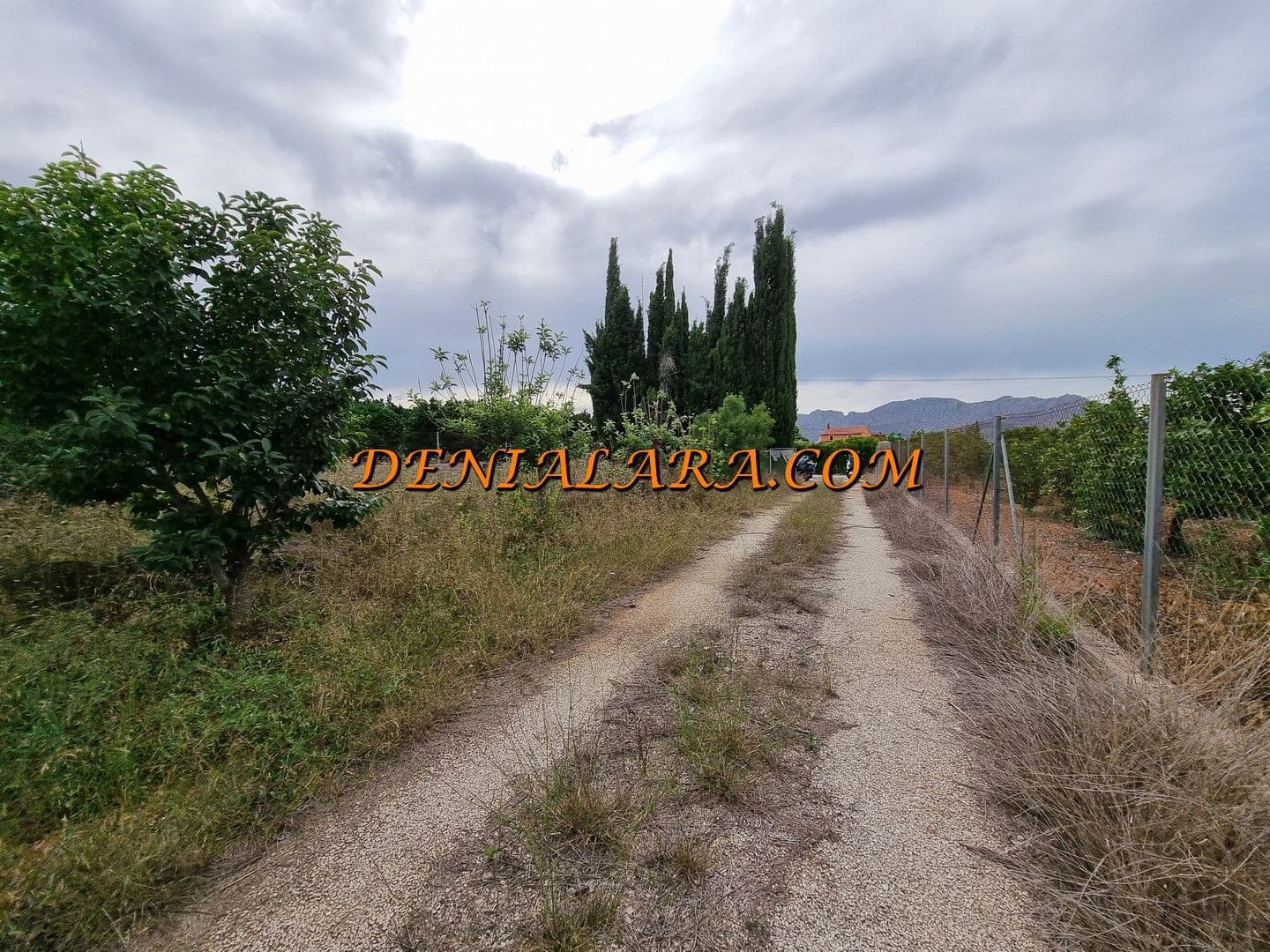 Bouwgrond te huur in Pedreguer - € 800 (Ref: 8389502)