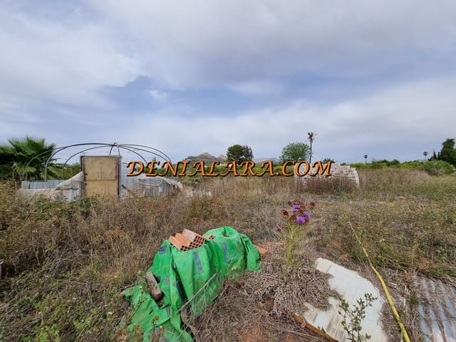 Tontti vuokrattavana paikassa Pedreguer - 800 € (Ref: 8389502)