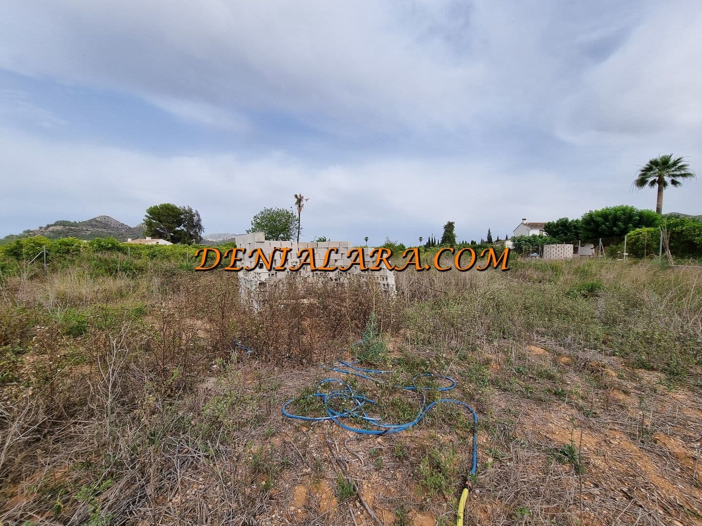 Bouwgrond te huur in Pedreguer - € 800 (Ref: 8389502)