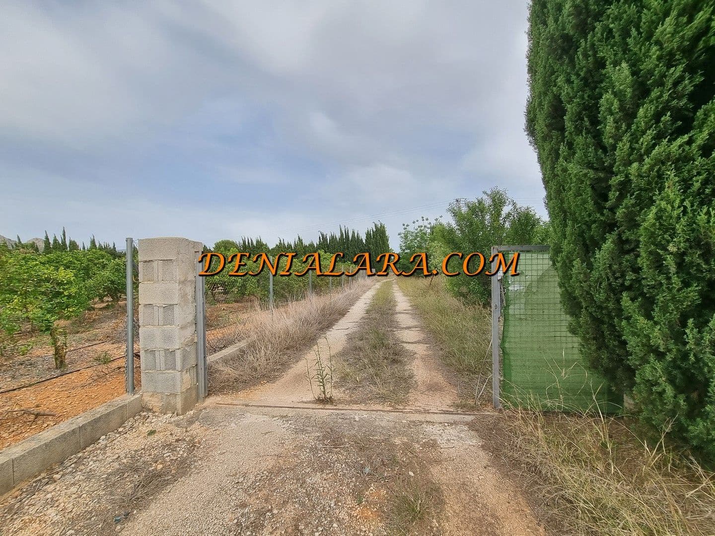 Bouwgrond te huur in Pedreguer - € 800 (Ref: 8389502)