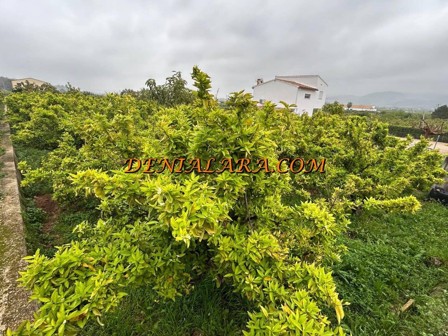 Byggetomt til salgs i Pego - € 29 999 (Ref: 8920435)