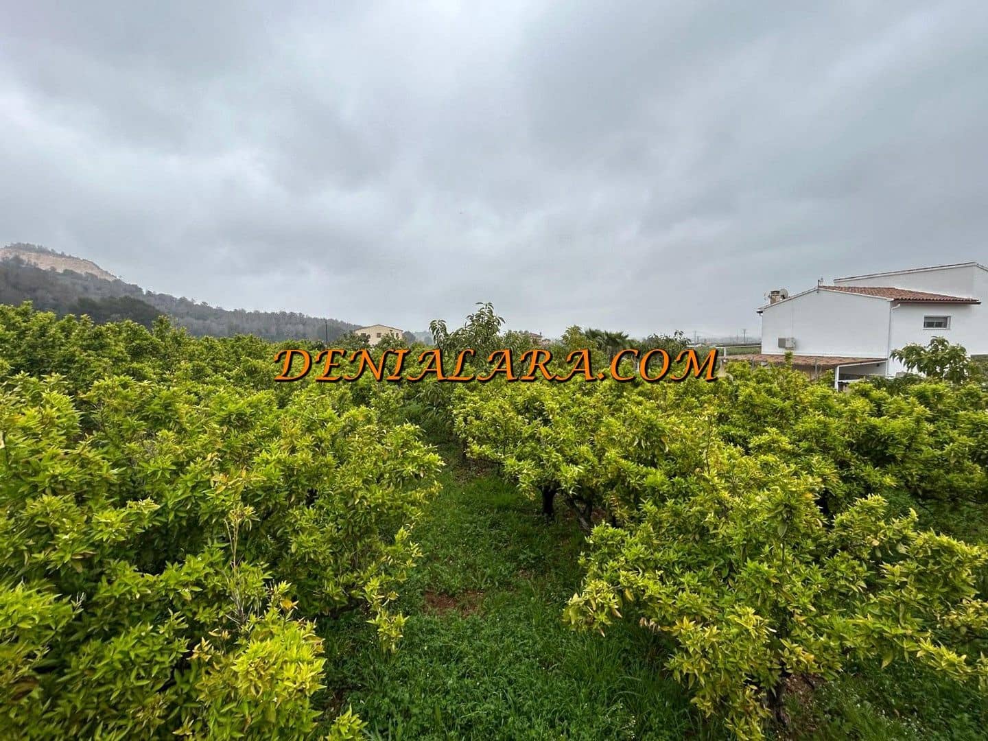 Byggetomt til salgs i Pego - € 29 999 (Ref: 8920435)