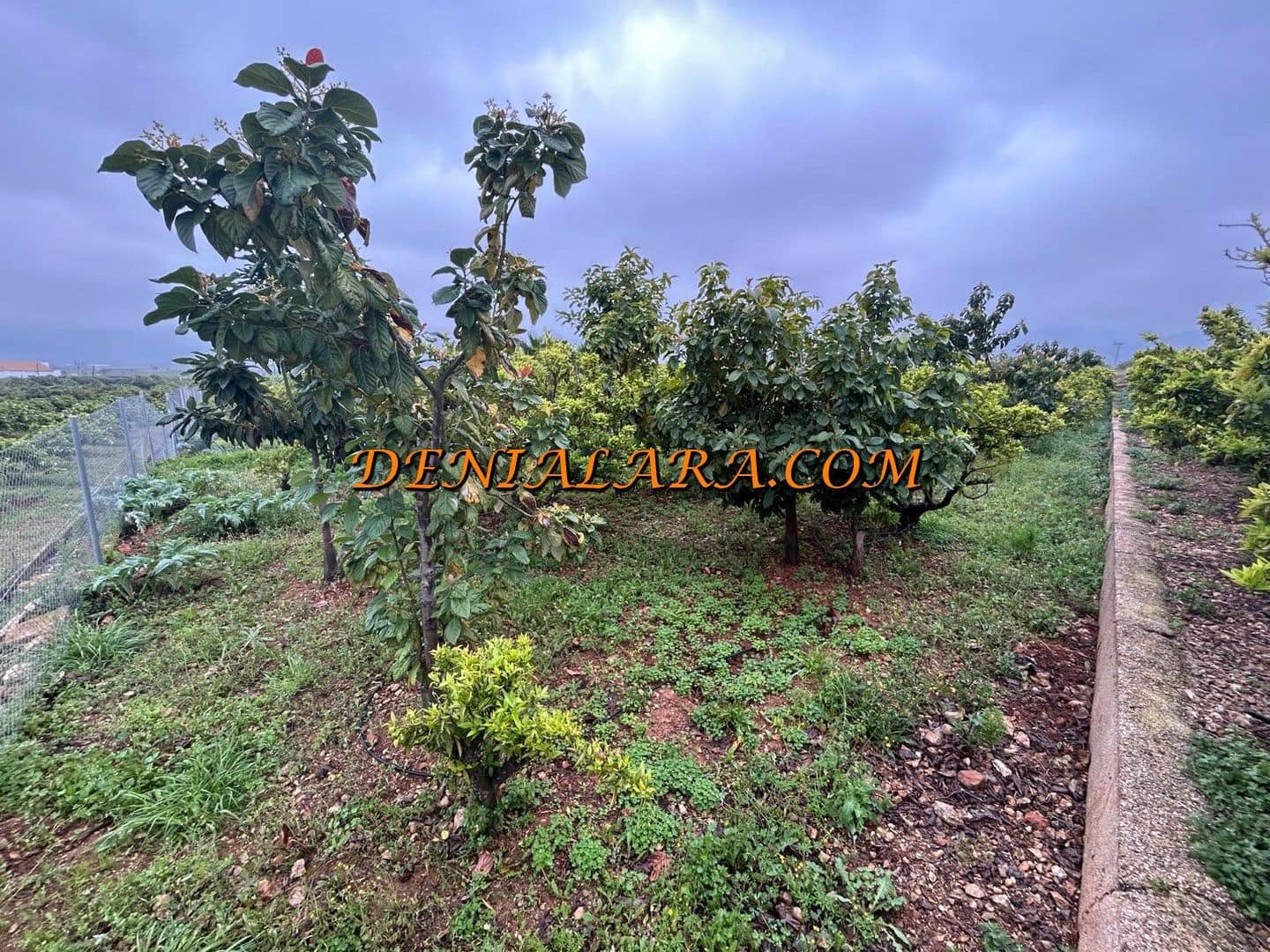 Byggetomt til salgs i Pego - € 29 999 (Ref: 8920435)