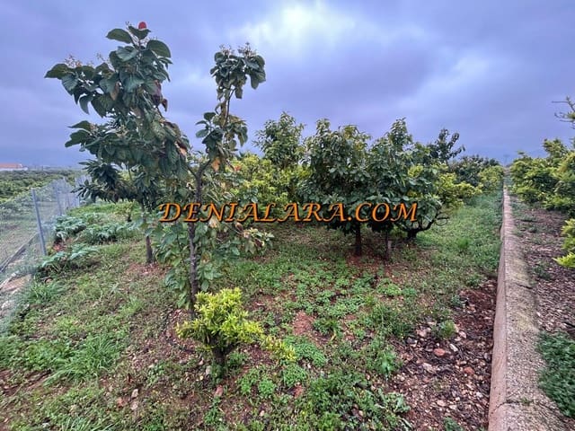 Area Edificabile in vendita in Pego - 29.999 € (Rif: 8920435)