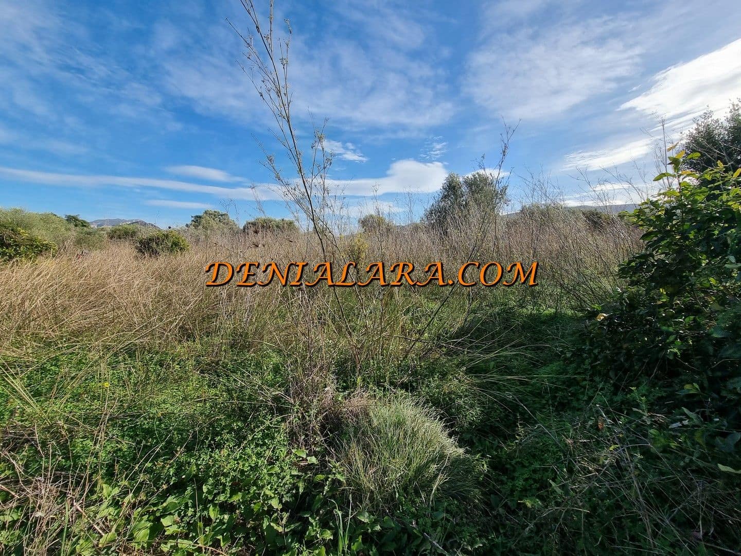 Byggegrund til salg i Pamis - € 12.000 (Ref: 9450025)