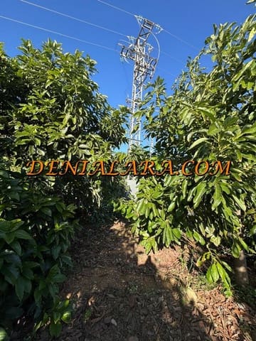 Area Edificabile in vendita in Pego - 53.000 € (Rif: 9450026)