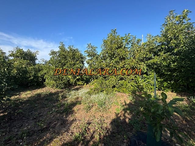 Area Edificabile in vendita in Pego - 53.000 € (Rif: 9450026)