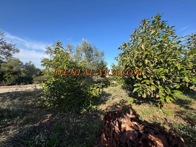 Area Edificabile in vendita in Pego - 53.000 € (Rif: 9450026)