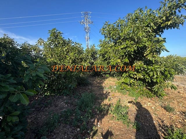 Area Edificabile in vendita in Pego - 53.000 € (Rif: 9450026)