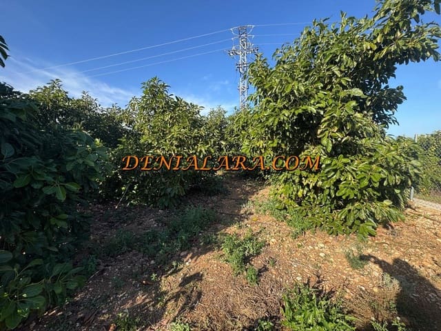 Area Edificabile in vendita in Pego - 53.000 € (Rif: 9450026)