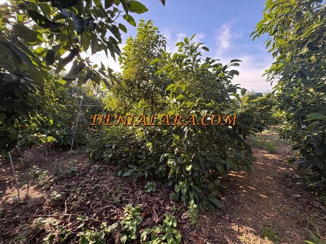 Area Edificabile in vendita in Pego - 53.000 € (Rif: 9450026)