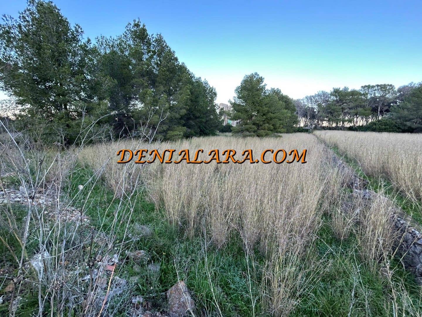 Byggetomt til salgs i Denia - € 39 999 (Ref: 9500658)