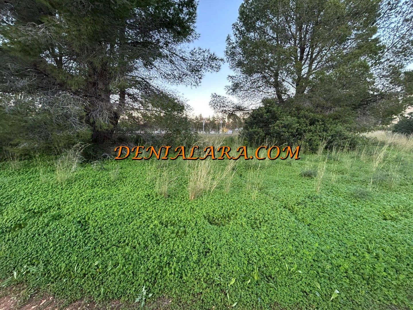 Byggetomt til salgs i Denia - € 39 999 (Ref: 9500658)