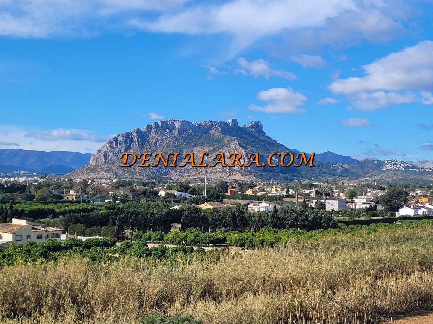 2 Zimmer Apartment zu vermieten in Denia mit Pool Garage - 1.300 € (Ref: 9534843)